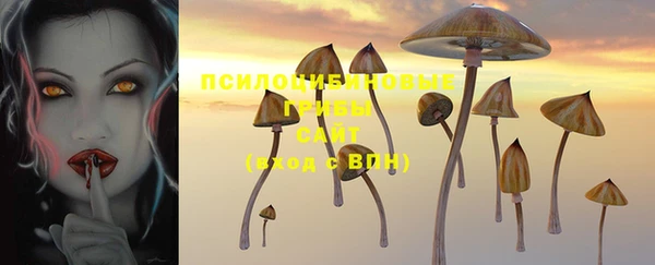 дмт Каменск-Шахтинский
