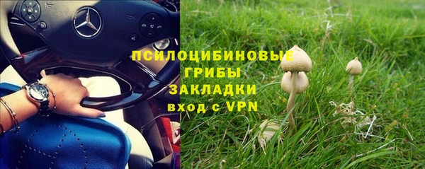дмт Каменск-Шахтинский