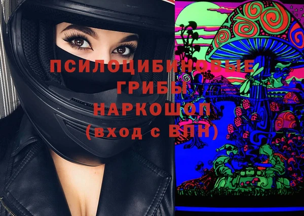прущие крисы Каменка