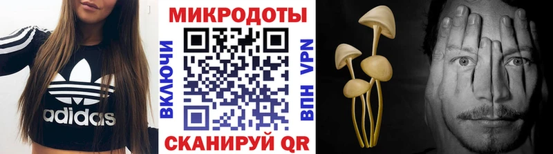 Псилоцибиновые грибы Psilocybe  Купить где  Дигора 