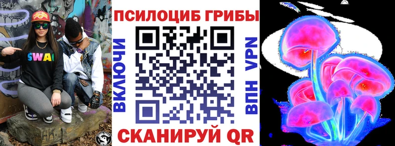 Псилоцибиновые грибы Psilocybe Дигора